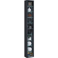 REGAL  21/152/14 cm Schwarz  - Schwarz, Basics, Glas/Holzwerkstoff (21/152/14cm) - MID.YOU