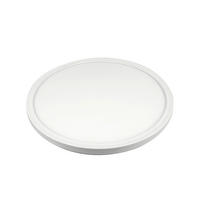 SPOLJNA PLAFONJERA  - bela, Osnovno, plastika (29,3/2,6cm)