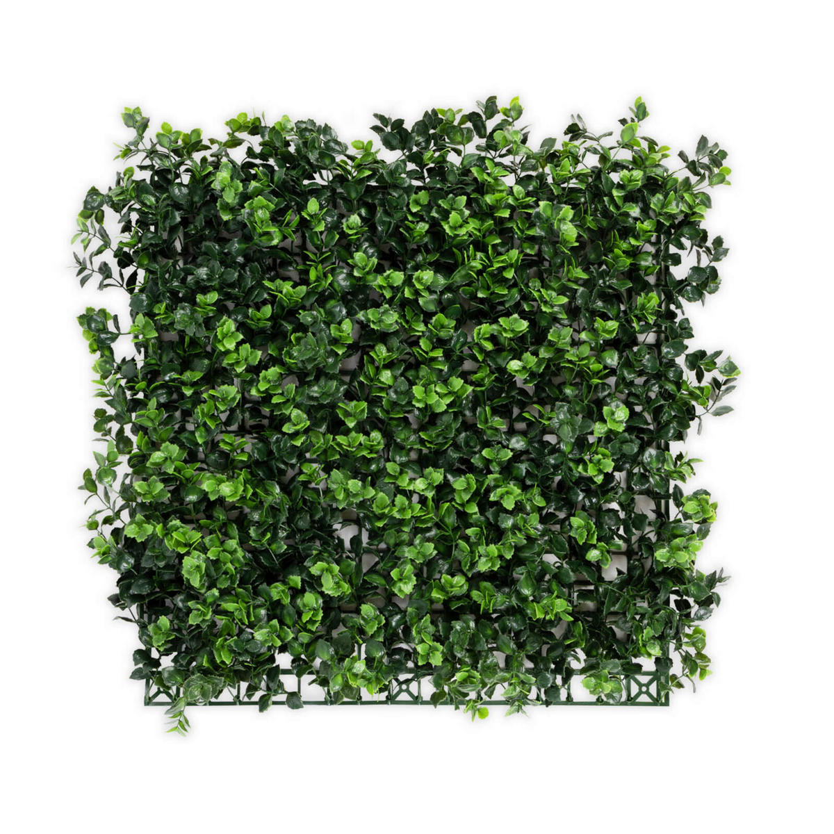 WANDVERKLEIDUNG  - Mintgrün, Trend, Kunststoff (50/50cm) - Floordirekt