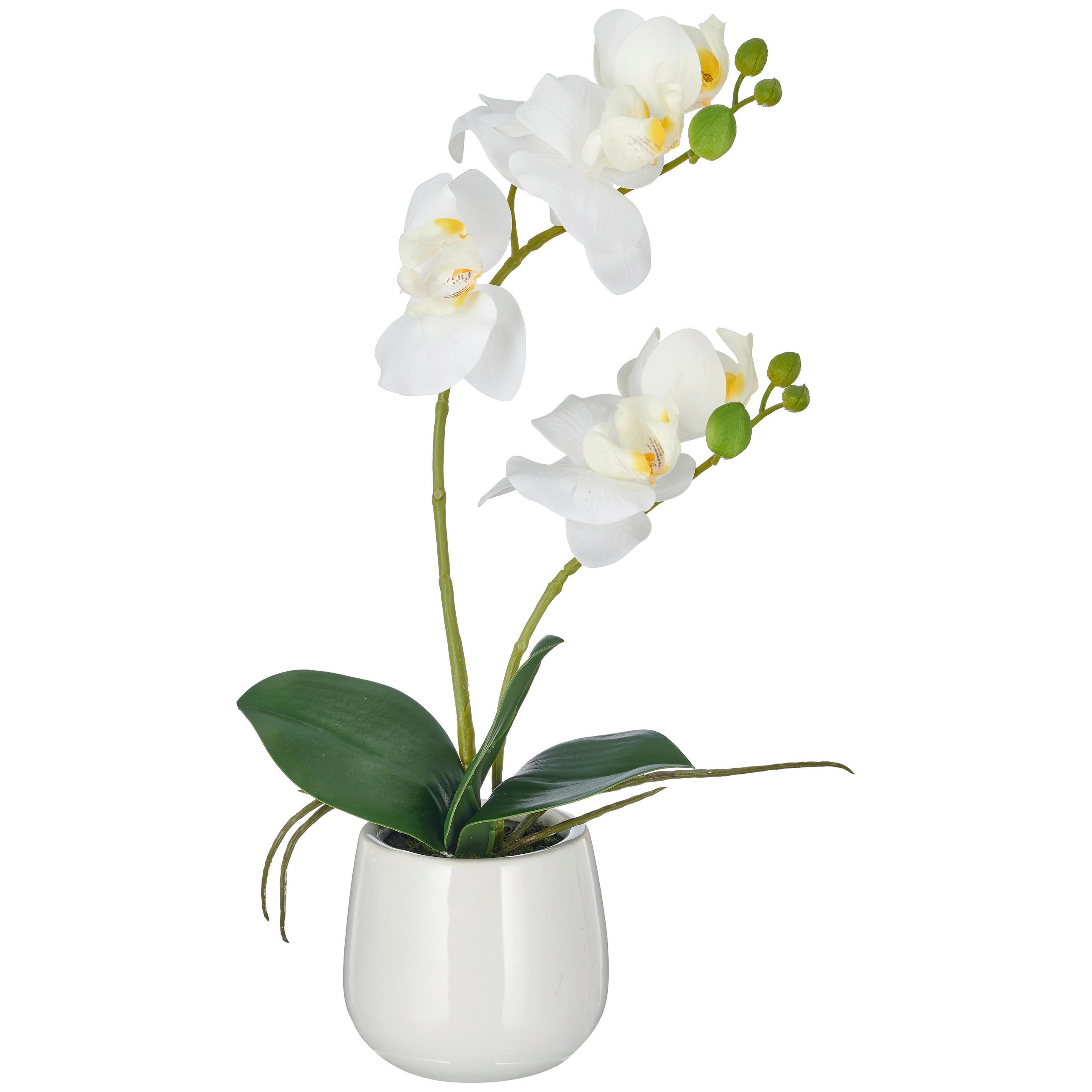 KUNSTBLUME Orchidee  - Weiß/Grün, Basics, Keramik/Kunststoff (38cm)