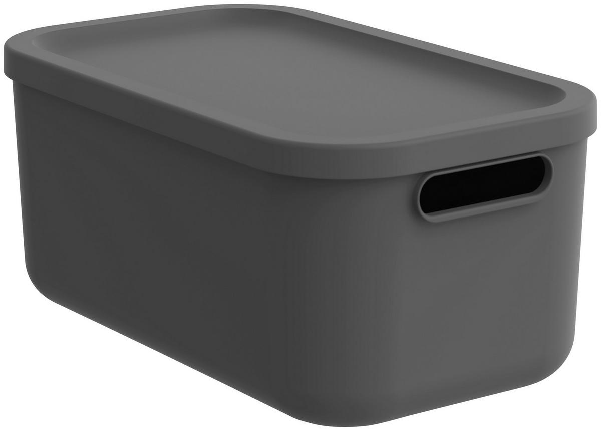 BOX MIT DECKEL    39,5/23,5/17,7 cm  - Anthrazit, Basics, Kunststoff (39,5/23,5/17,7cm) - Rotho