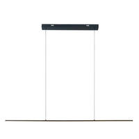 LED LUSTER    120,5/2/200 cm    - crna, Osnovno, metal (120,5/2/200cm)