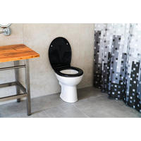 WC-SITZ - Schwarz, Basics, Kunststoff (37,2/4,8/44,5cm) - Sadena