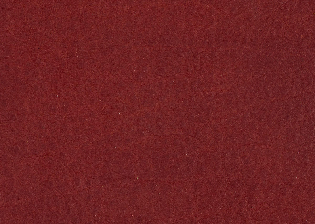 SESSEL in Echtleder Rot  - Rot/Schwarz, Design, Leder/Metall (80/104/99cm) - Koinor