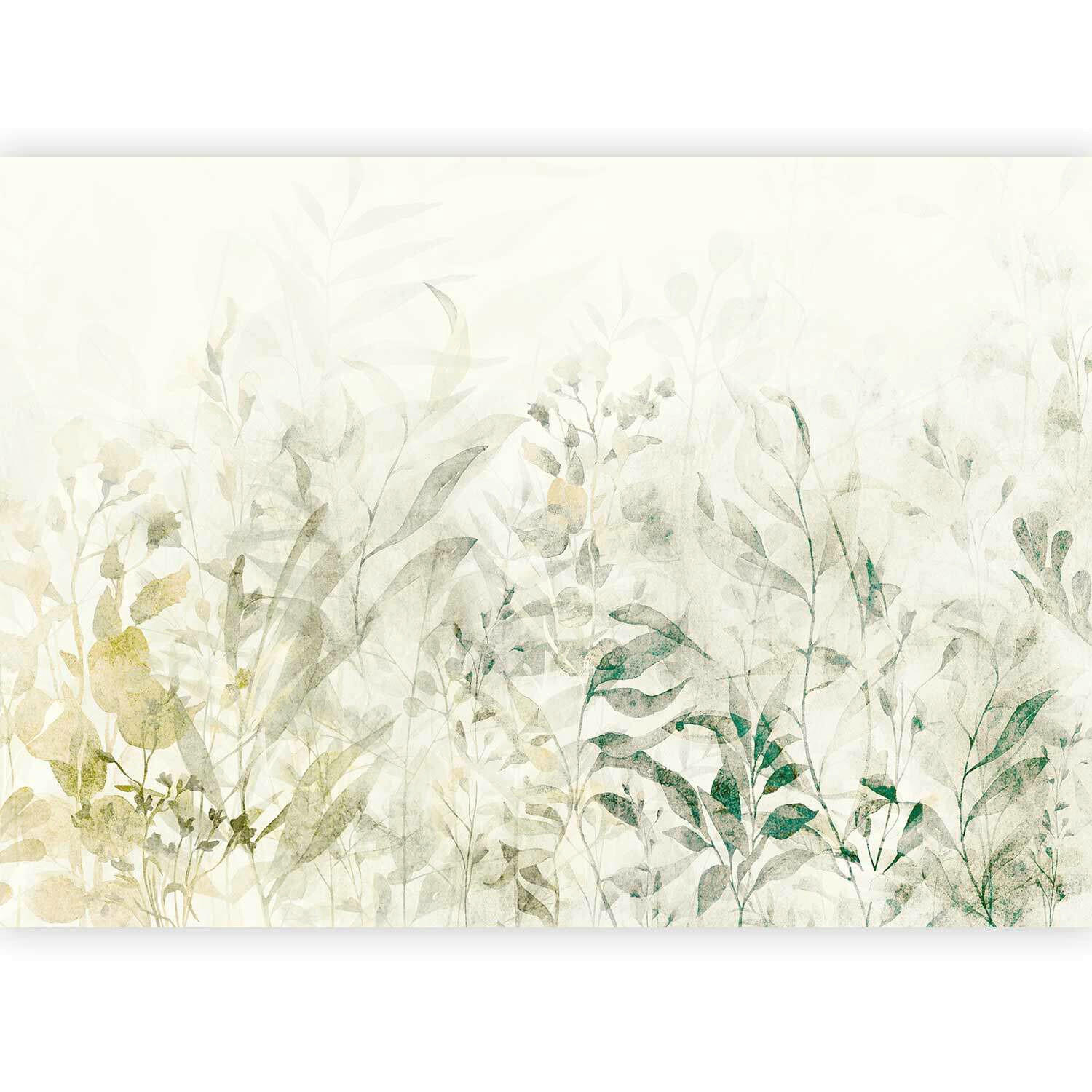 artgeist Fototapete Weiß, Salbeigrün 250x175 cm
