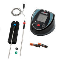 UBODNI TERMOMETAR  - svijetlo siva/crna, Basics, plastika (10,9/10,6/7,4cm) - Napoleon