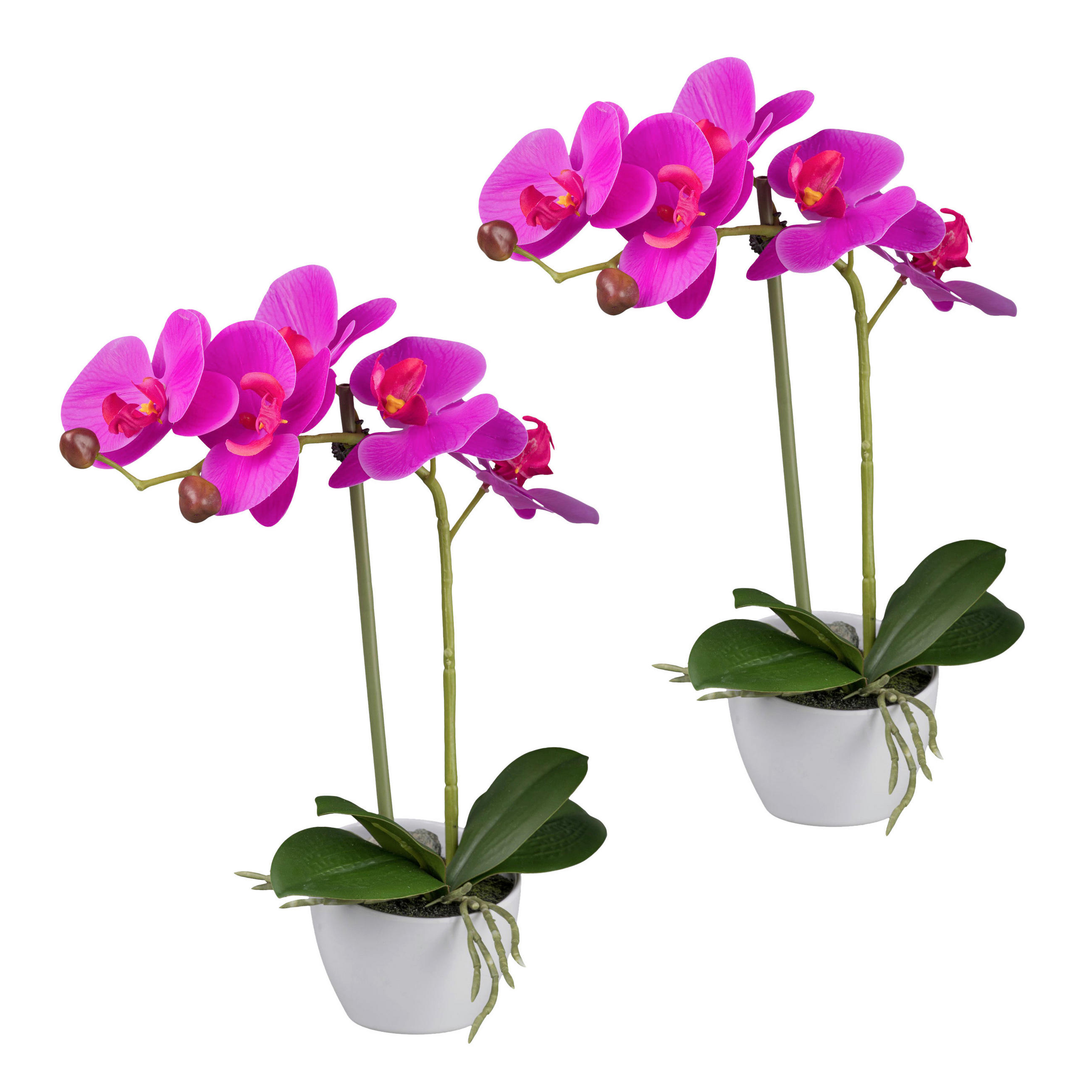 KUNSTPFLANZE Orchidee 33 cm  - Pink/Weiß, Design, Kunststoff (33cm) - P & B