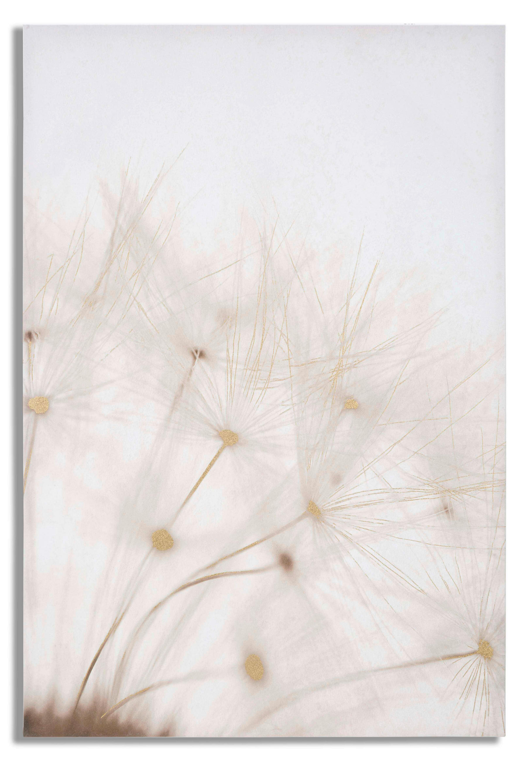 LEINWANDBILD Blumen  - Basics, Holz/Textil (80/120/3cm)