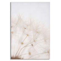 LEINWANDBILD Blumen  - Basics, Holz/Textil (80/120/3cm)