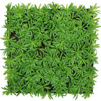 AKUSTIKPANEEL Modular Wall System Nature Design Flora 52/52/5 cm  - KONVENTIONELL (52/52/5cm) - Jangal