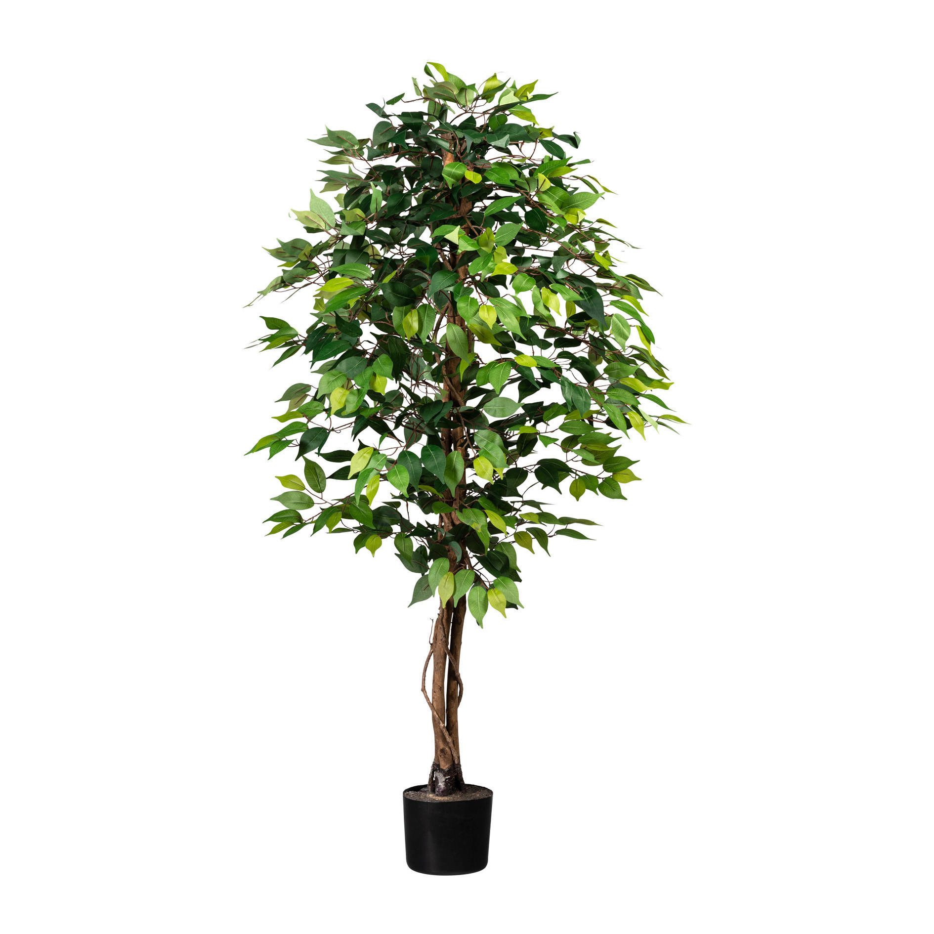KUNSTPFLANZE Ficus Benjamina 150 cm  - Schwarz/Braun, Design, Naturmaterialien/Kunststoff (150cm) - P & B