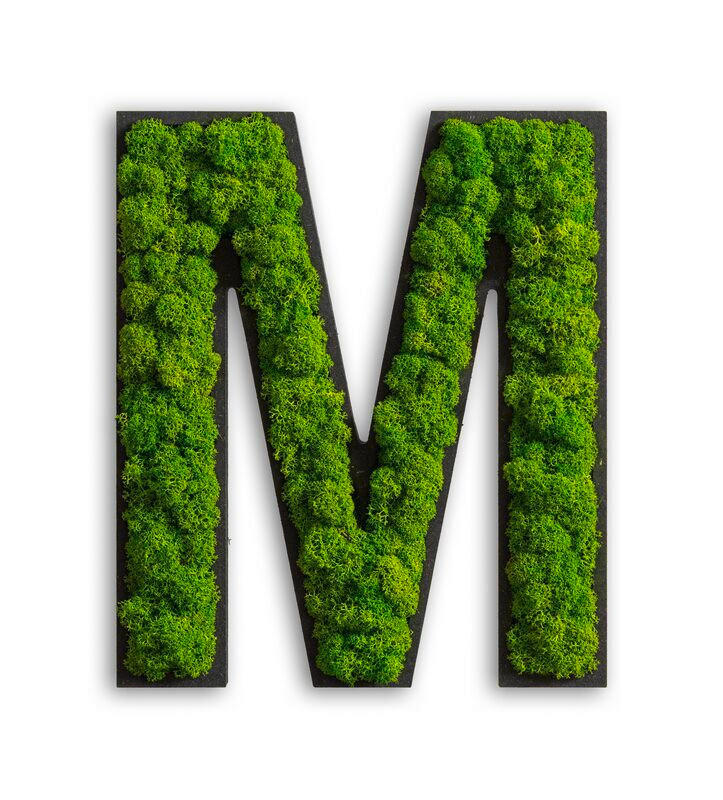StyleGREEN MECHOVÝ OBRAZ