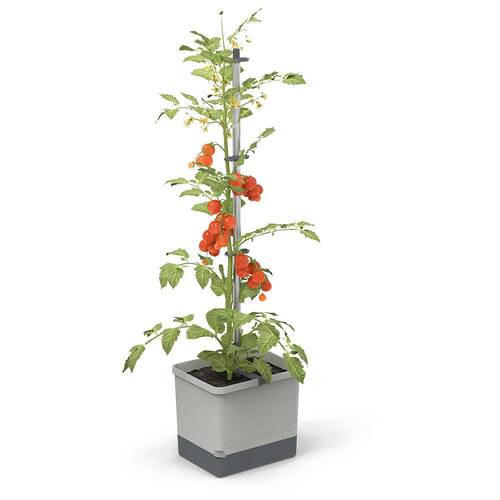 PFLANZENTOPF  TOM TOMATO  - Hellgrau, Basics, Kunststoff (34,7/135,4/27,7cm) - Gusta Garden