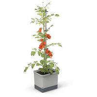 PFLANZENTOPF  TOM TOMATO  - Hellgrau, Basics, Kunststoff (34,7/135,4/27,7cm) - Gusta Garden