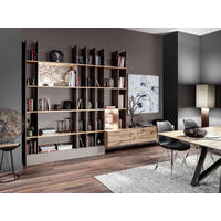 WOHNWAND  in Grau, Eichefarben  361/260/46 cm  - Edelstahlfarben/Eichefarben, Design, Holz/Holzwerkstoff (361/260/46cm) - Anrei