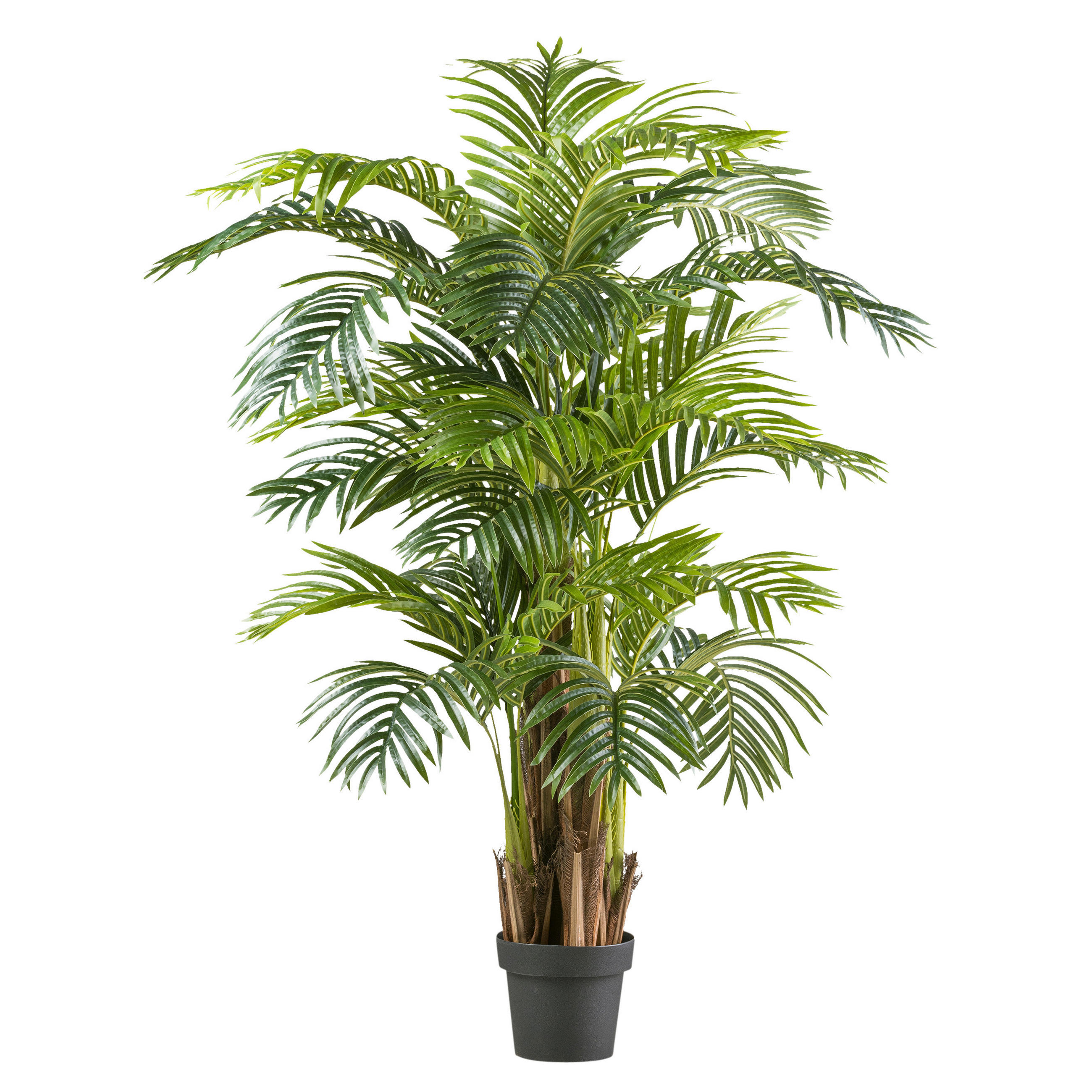 KUNSTPFLANZE Palme 150 cm - Schwarz/Braun, Basics, Kunststoff (150cm)