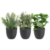 KUNSTPFLANZE 25 cm  - Schwarz/Grün, Basics, Kunststoff/Textil (25cm)