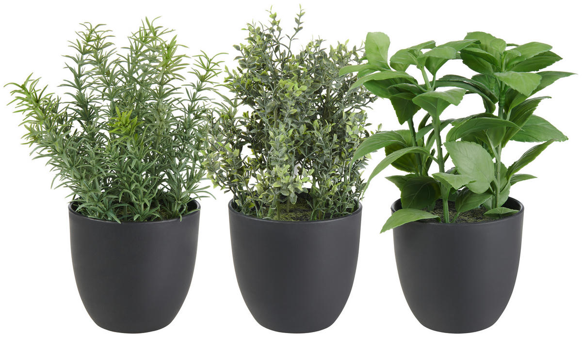 KUNSTPFLANZE 25 cm  - Schwarz/Grün, Basics, Kunststoff/Textil (25cm)