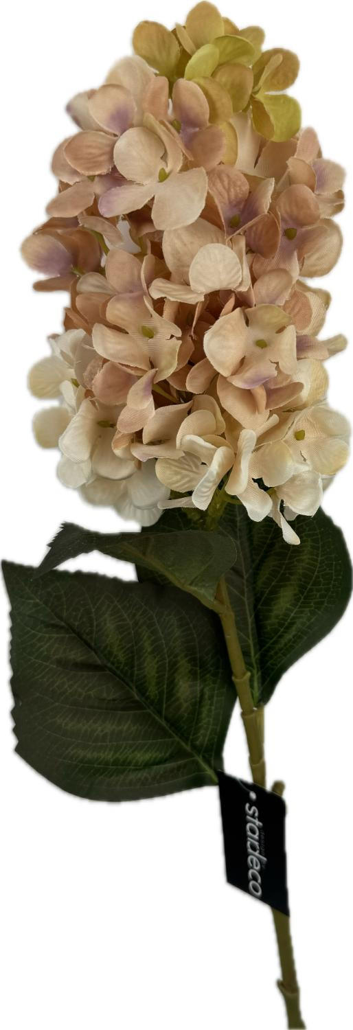 HORTENZIE 72 cm - zelená/béžová, Basics, plast (72cm)
