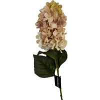 HORTENZIE 72 cm - zelená/béžová, Basics, plast (72cm)