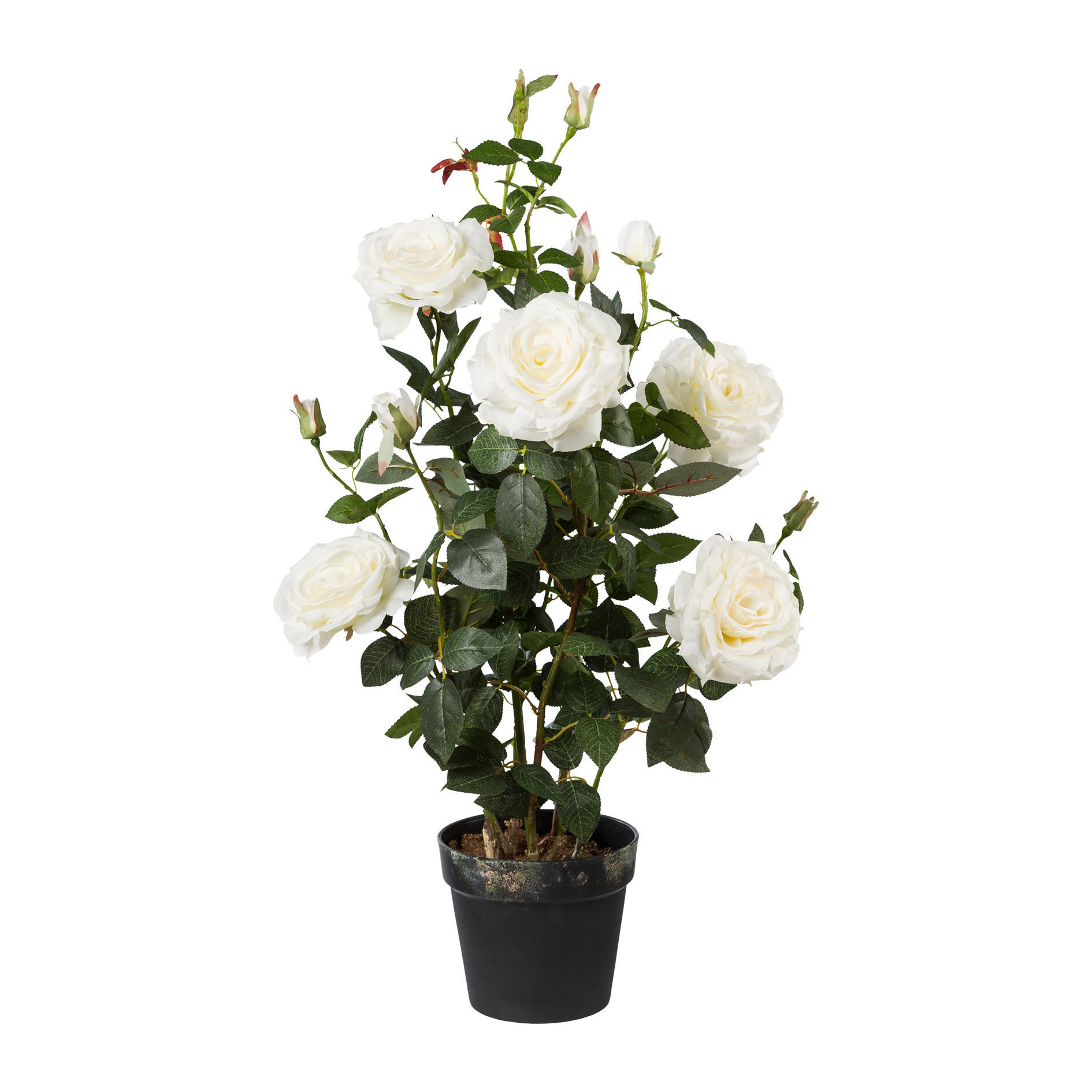 KUNSTPFLANZE Rosenbusch 90 cm  - Weiß/Grün, Trend, Kunststoff (90cm) - P & B