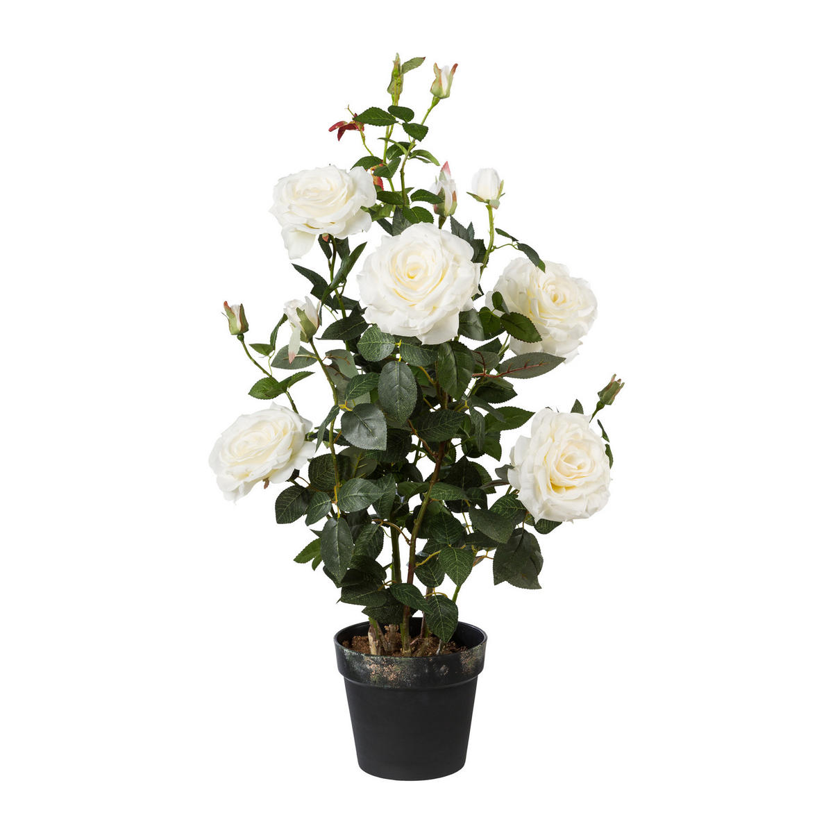 KUNSTPFLANZE Rosenbusch 90 cm  - Weiß/Grün, Trend, Kunststoff (90cm) - P & B