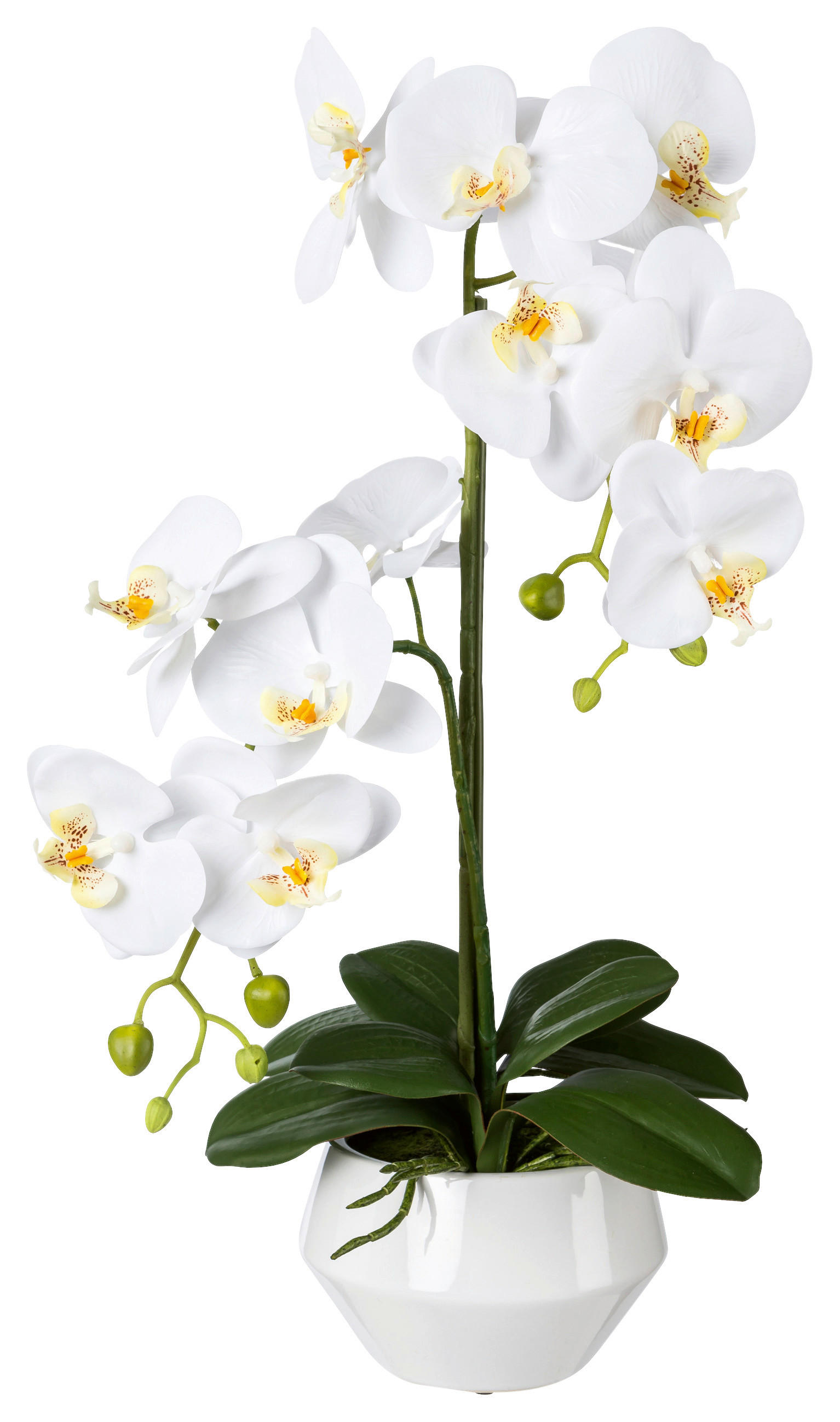KUNSTPFLANZE Orchidee 52 cm  - Weiß/Grün, Design, Keramik/Kunststoff (52cm)
