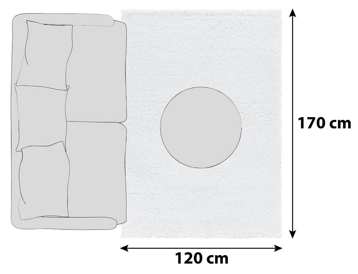 HOCHFLORTEPPICH 120/170 cm Fluffy 3500 Weiß Weiß  - Weiß, Basics, Textil (120/170cm)