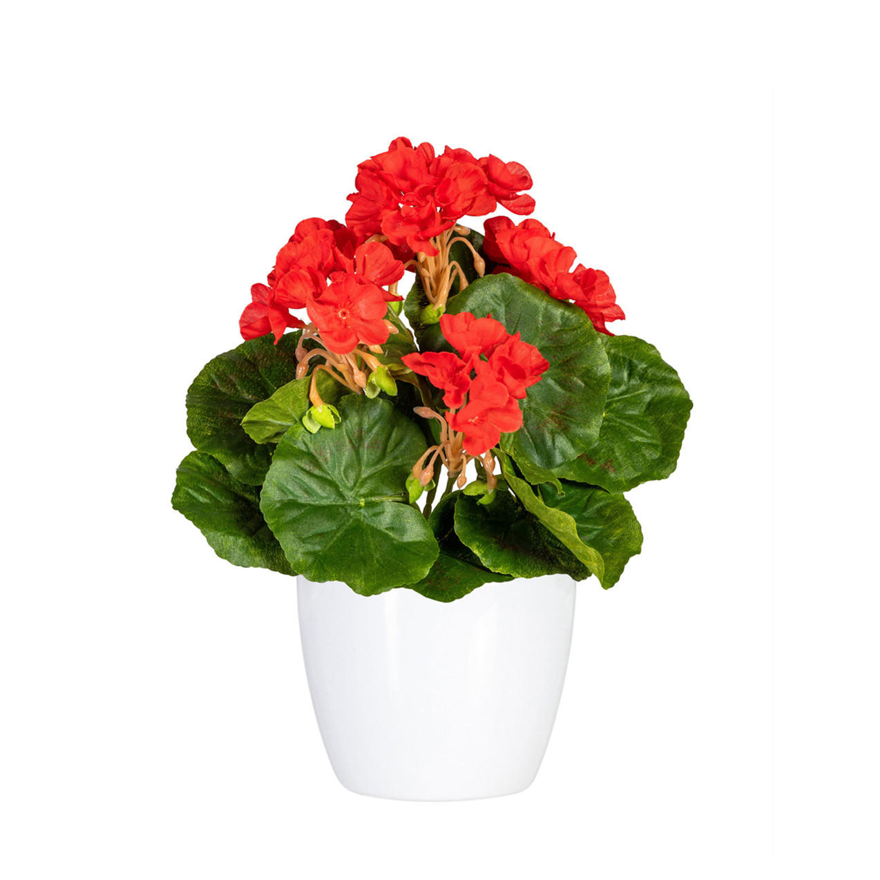 KUNSTPFLANZE Geranie 24 cm  - Rot/Weiß, Design, Keramik/Kunststoff (24cm)