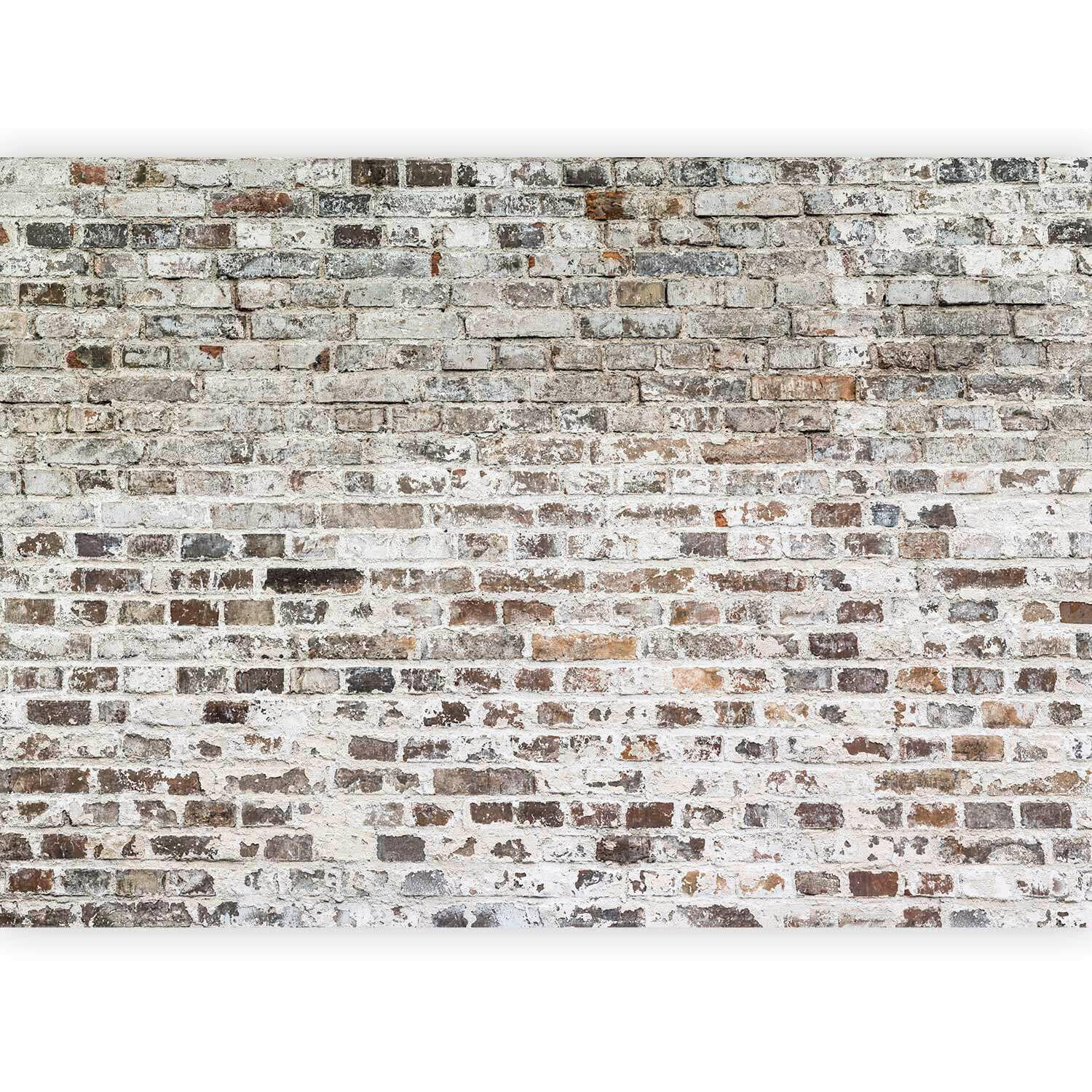 FOTOTAPETE  - Grauweiß/Grau, LIFESTYLE, Textil (100cm) - artgeist