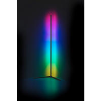 LED STOJACÍ LAMPA, 43/141 cm  - černá, Trend, kov (43/141cm)
