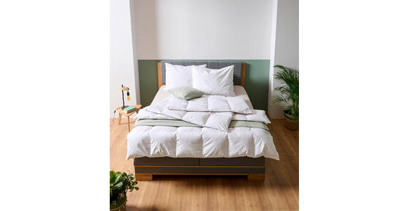 GANZJAHRESDECKE 140/200 cm  - Weiß, Basics, Textil (140/200cm) - Sleeptex