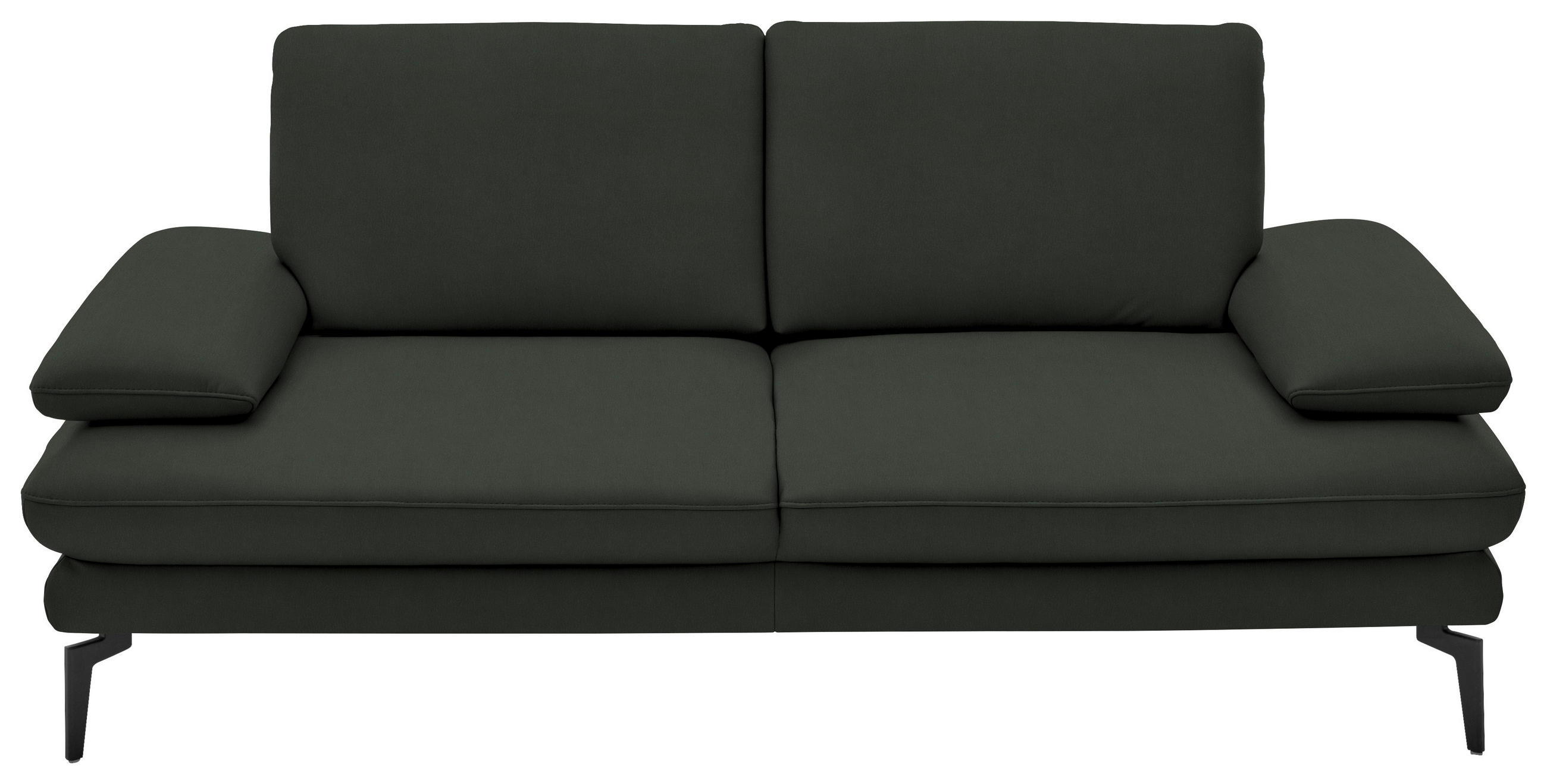 2,5-SITZER in Echtleder Dunkelgrün  - Dunkelgrün/Schwarz, Design, Leder/Metall (196/86/104cm) - Dieter Knoll