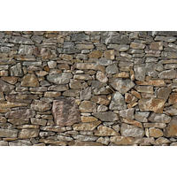 NON WOVEN-TAPET 400/260 cm  - multicolor, Basics (400/260cm) - Komar