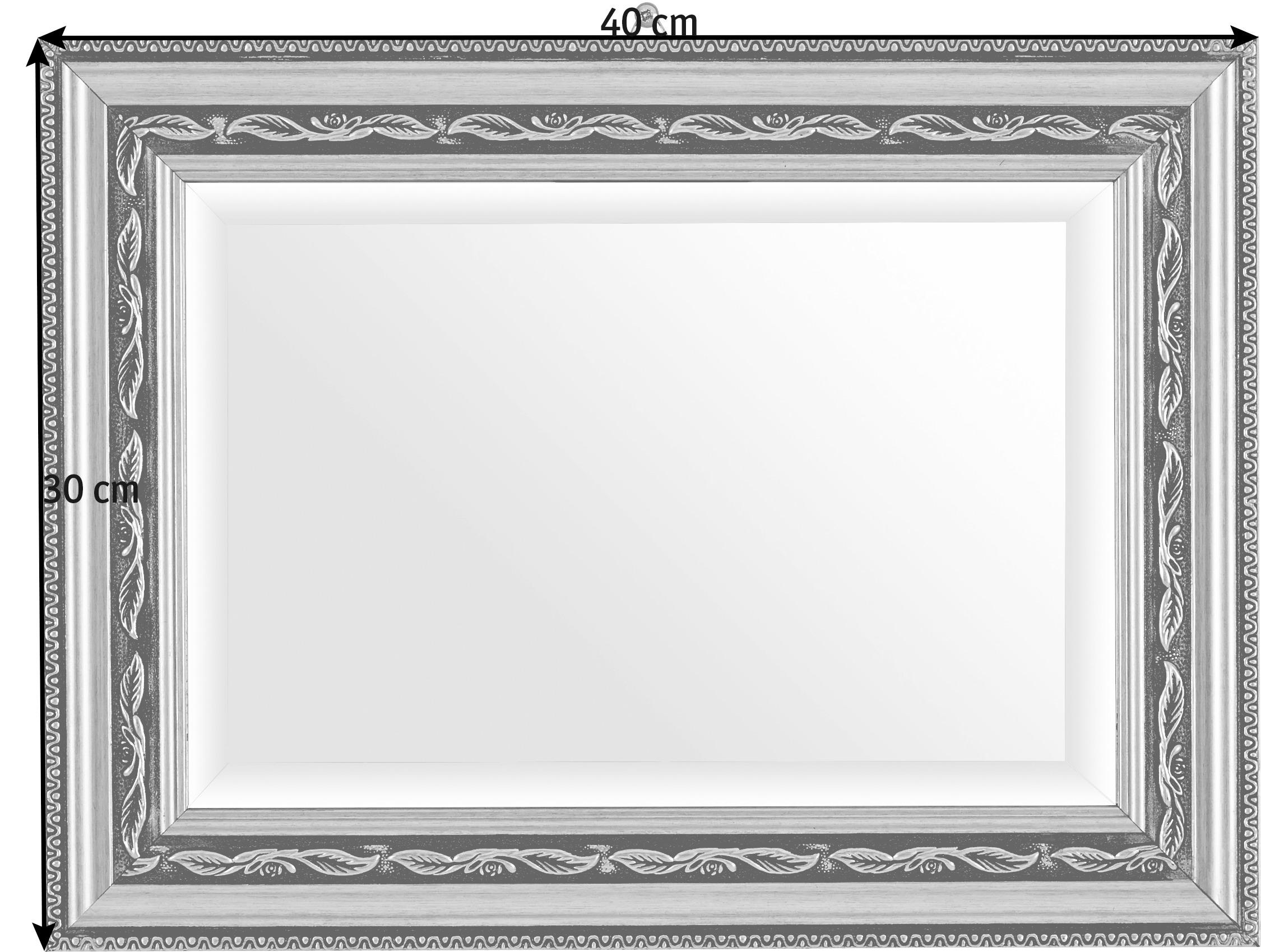 OGLEDALO ZIDNO 30/40/2,2 cm - srebrne boje, Lifestyle, staklo/plastika (30/40/2,2cm) - Landscape