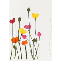 KARTE  - Basics, Papier (13/18cm) - Räder