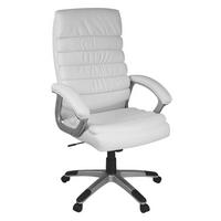 KANCELÁŘSKÉ KŘESLO, vzhled kůže, bílá - bílá/barvy hliníku, Konvenční, textil/plast (60/125/60cm) - MID.YOU