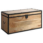 TRUHE - Schwarz/Naturfarben, Natur, Holz/Metall (80/40/40cm) - Landscape