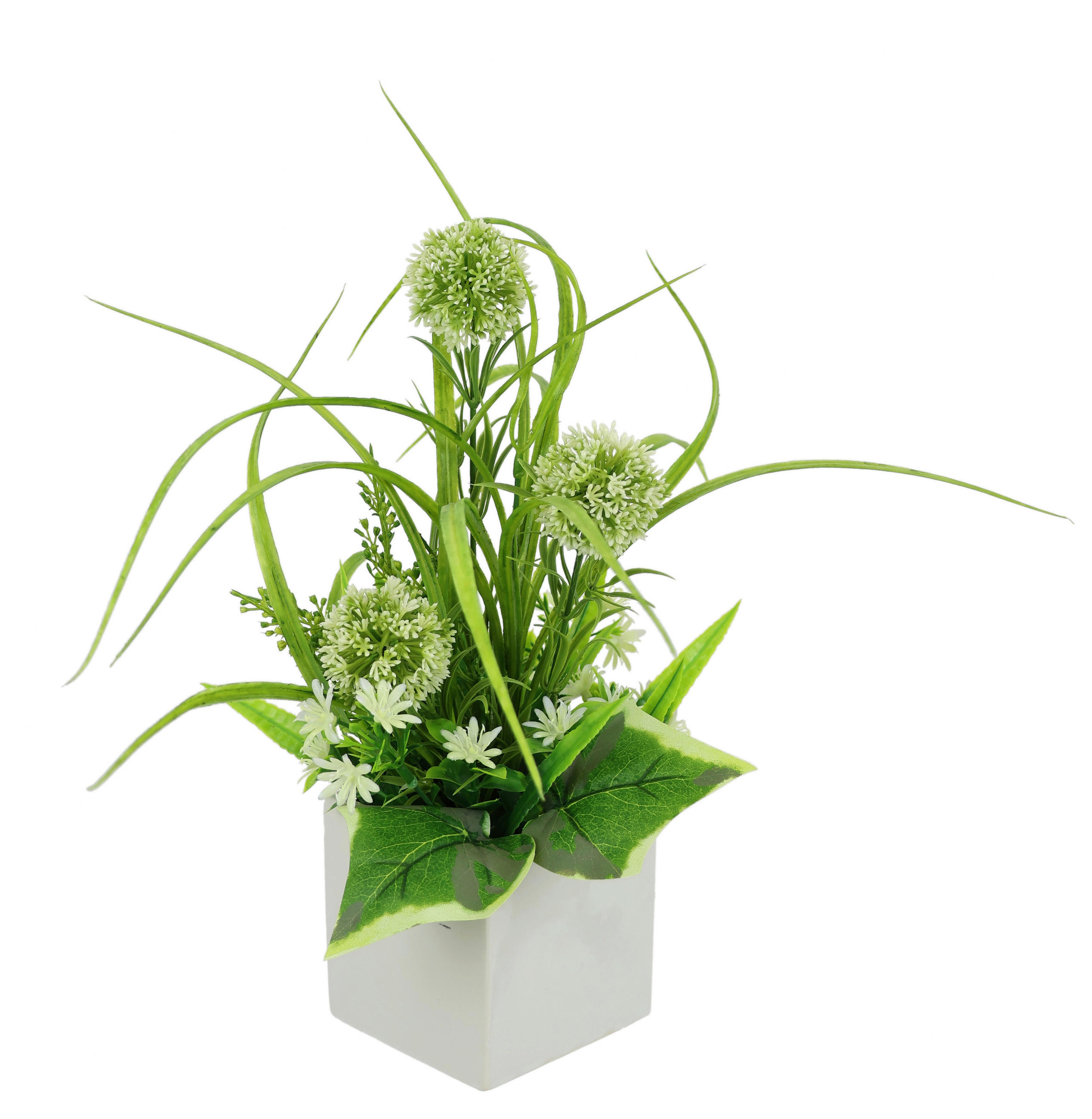 ALLIUM  - Grün, Basics (25/35cm)