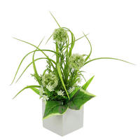 ALLIUM  - Grün, Basics (25/35cm)