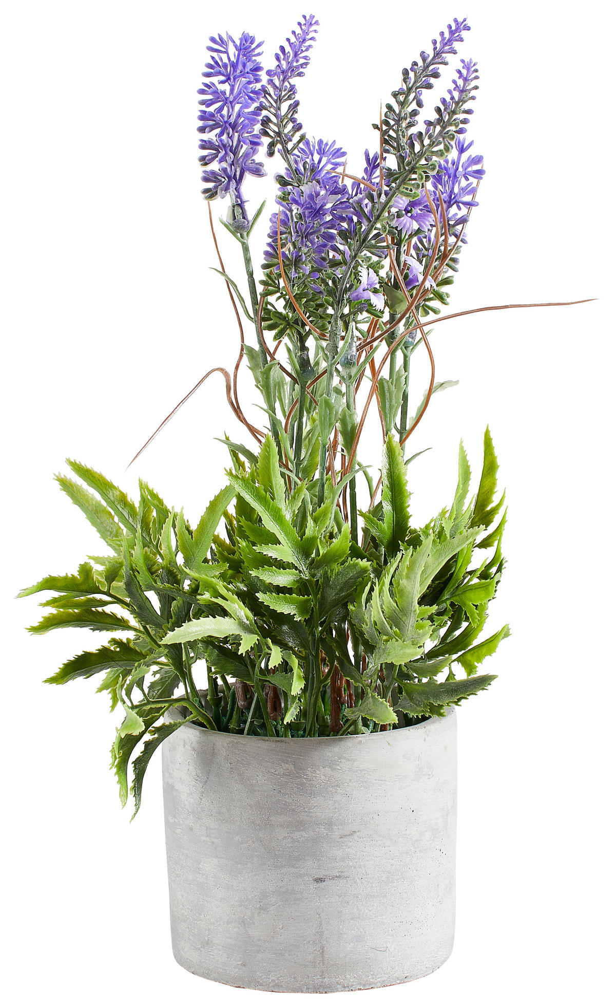 LAVENDEL  - Lila/Grün, Basics, Kunststoff (30cm)