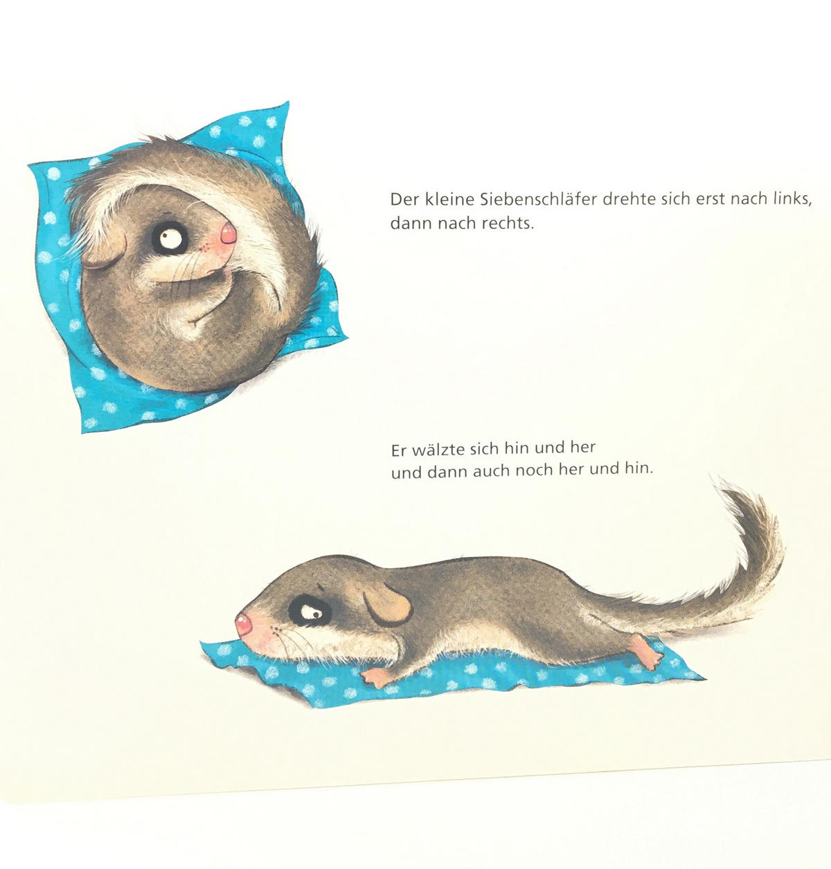 BILDERBUCH - Multicolor, Basics, Papier (16,8/21,0/1,8cm) - Carlsen