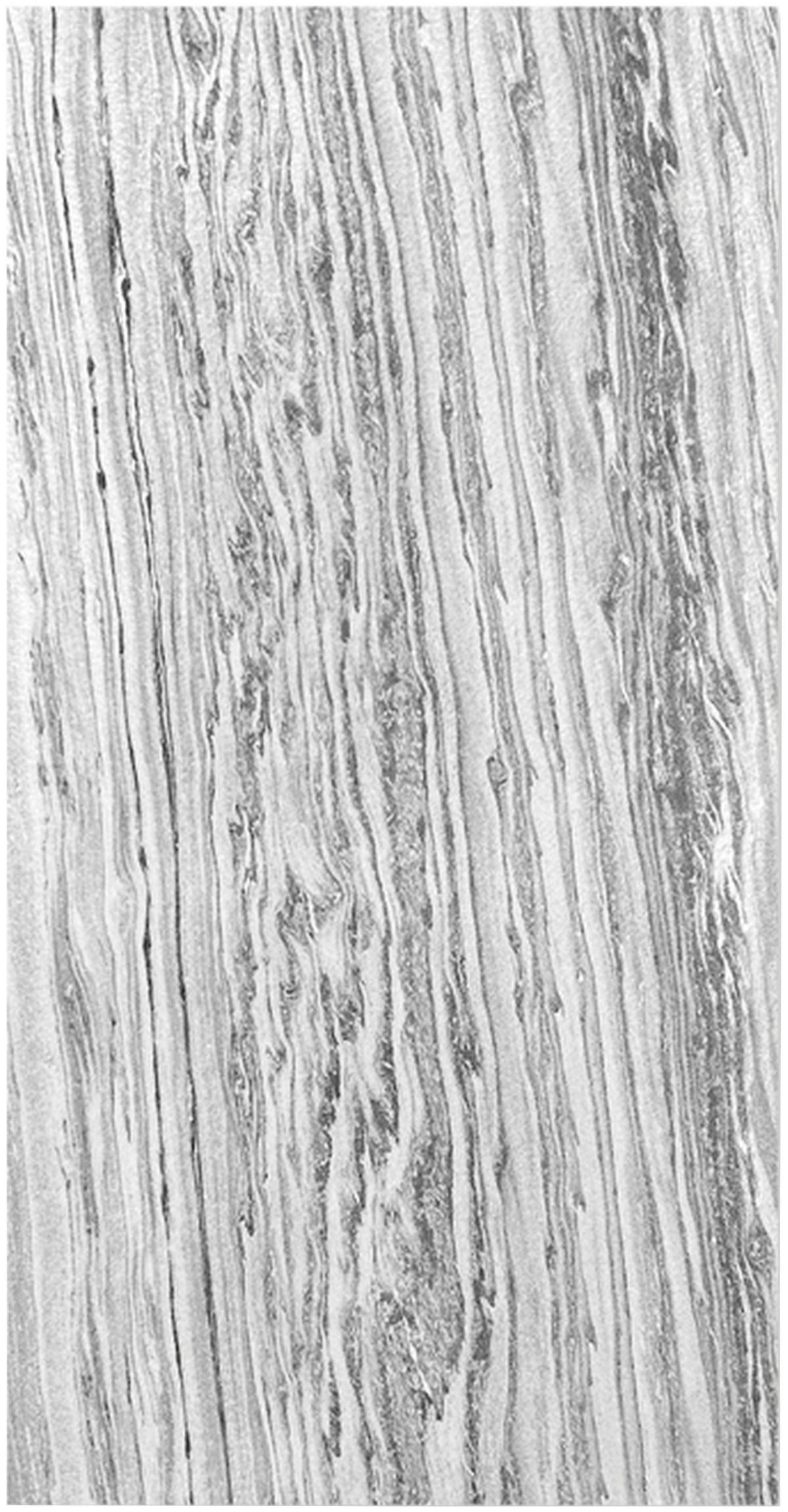 AKUSTIKPANEEL Echtstein Jangal Modular Wall System 52/104/0.7 cm  - Grau, MODERN, Textil/Stein (52/104/0.7cm) - Jangal