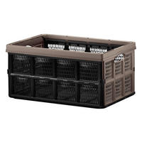 PREKLOPNA KUTIJA  51/23/34 cm       - svetloružičasta/svetlozelena, Konvencionalno, plastika (51/23/34cm)