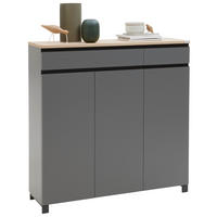OMARA ZA ČEVLJE furnirano siva, barve hrasta - siva/barve hrasta, Design, kovina/leseni material (125/126/37cm) - Dieter Knoll