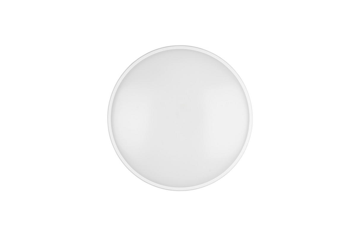 STROPNA LED-SVETILKA  Limbus 34 W  4000 K 230 V  - bela, Basics, umetna masa (50/7,5cm)