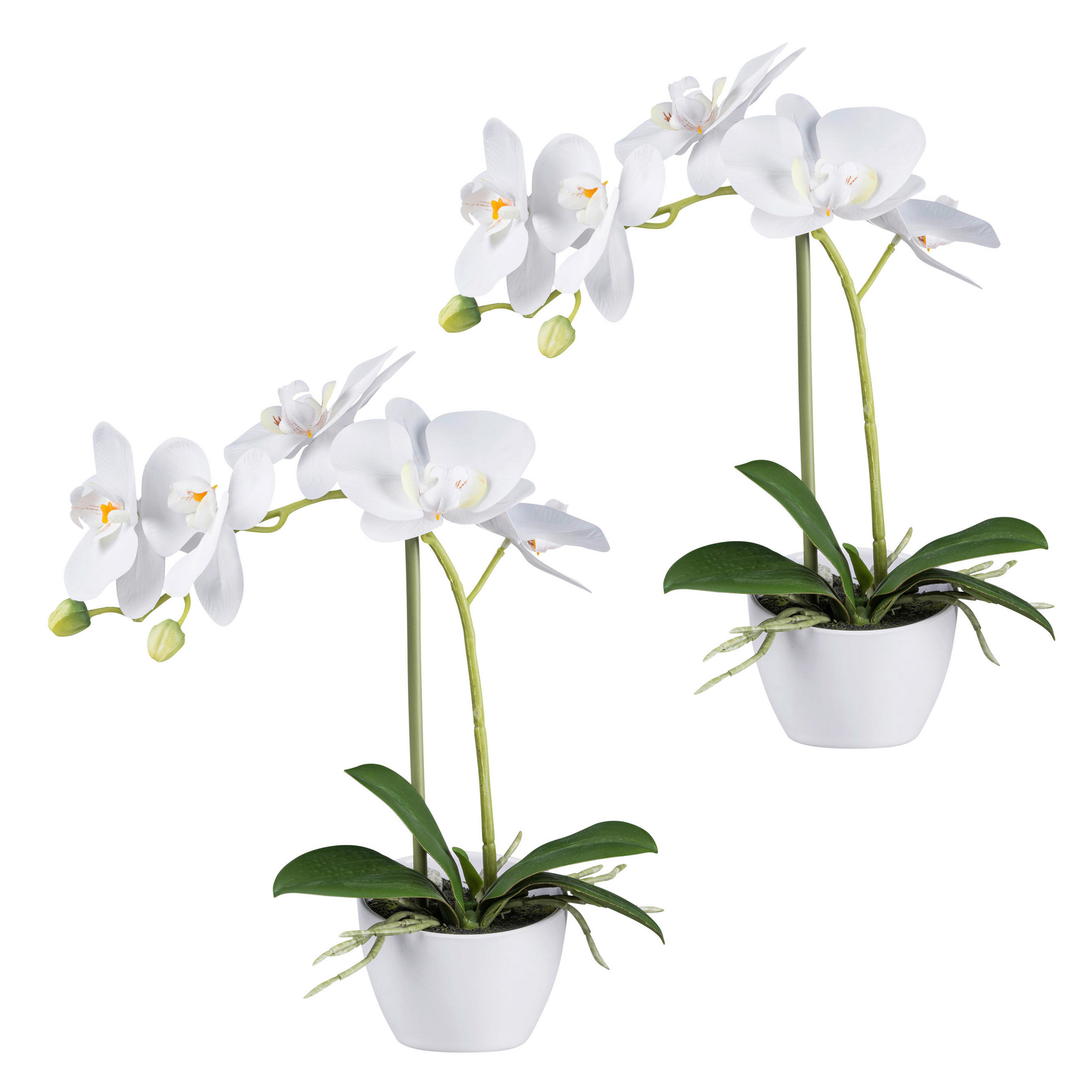 KUNSTPFLANZE Orchidee 33 cm - Weiß/Grün, Design, Kunststoff (33cm) - P & B
