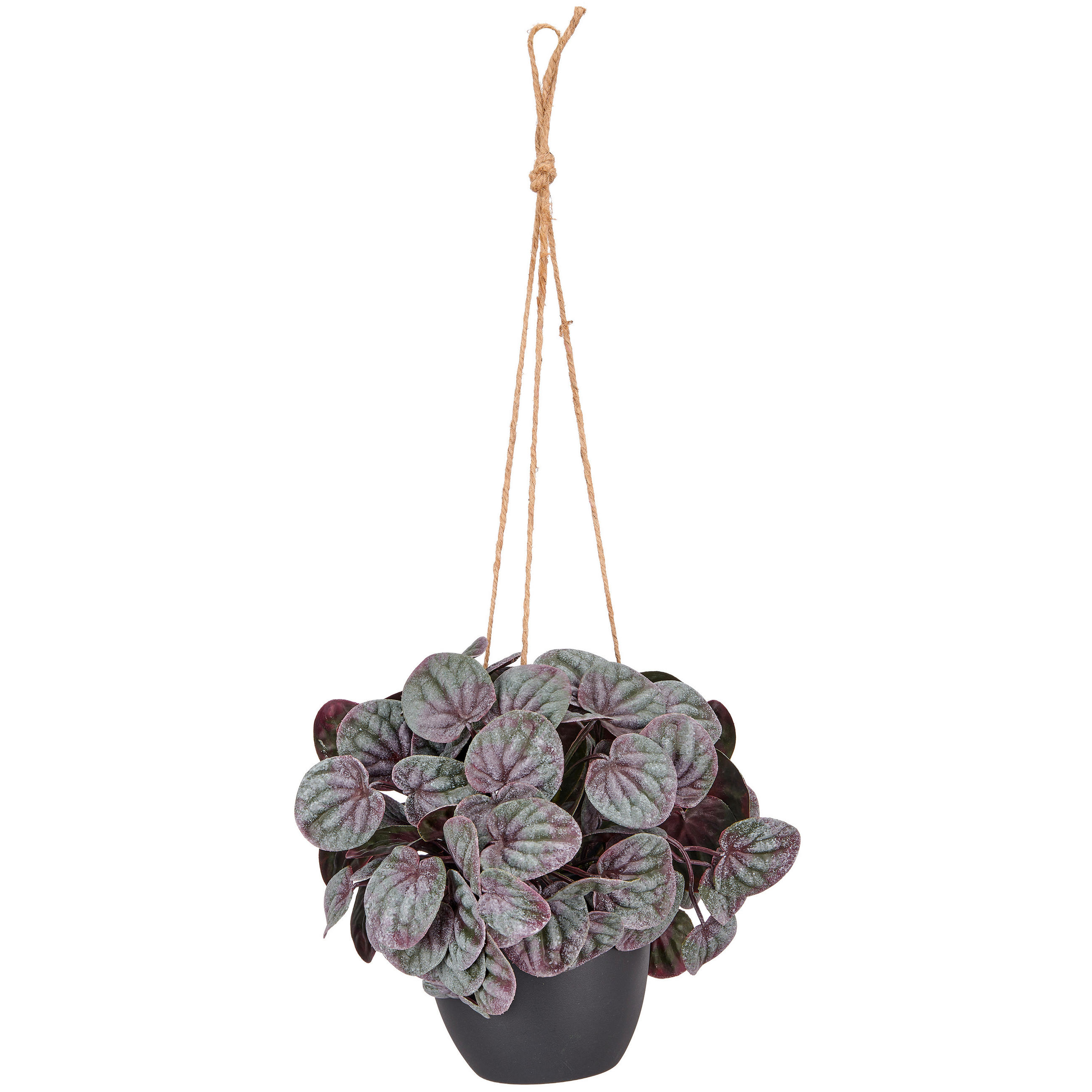 KUNSTPFLANZE 20 cm  - Rot/Schwarz, Basics, Kunststoff (20cm)