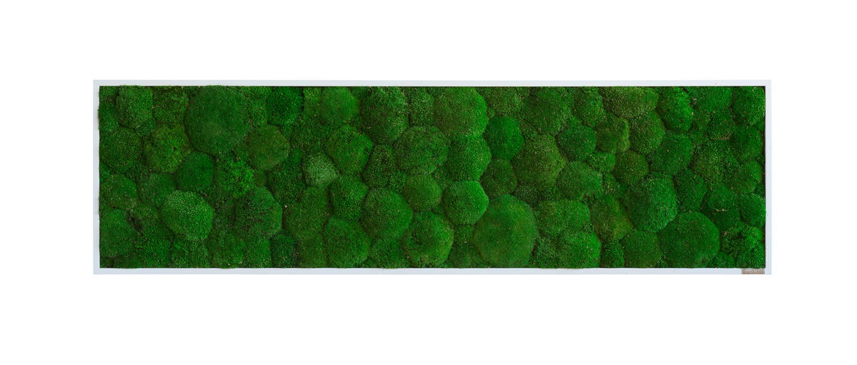 MOOSBILD  - Weiss/Grün, Basics, Naturmaterialien/Holz (140/40/7cm)