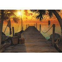 FOTOTAPET 368/254 cm  - orange/brun, Natur, papper (368/254cm) - Komar